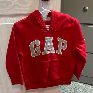 Toddler- 3T Hoodie